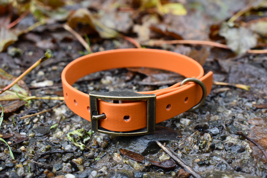 Burnt Orange BioThane® Collar