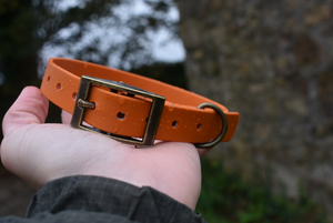 Burnt Orange BioThane® Collar